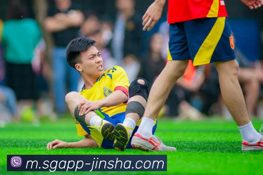 澳门金沙官网服务体系